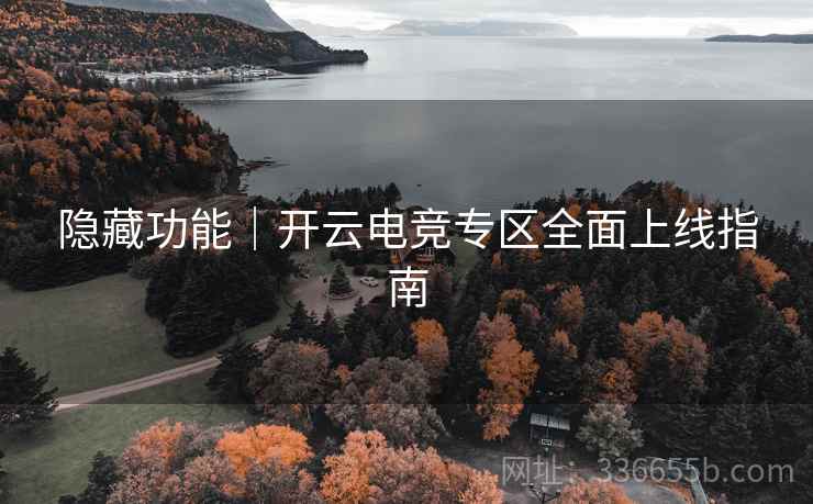 隐藏功能｜开云电竞专区全面上线指南