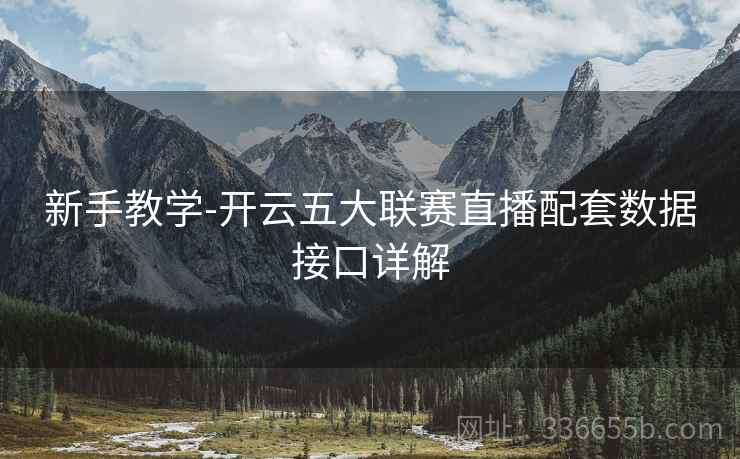 新手教学-开云五大联赛直播配套数据接口详解