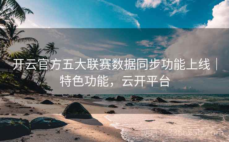 开云官方五大联赛数据同步功能上线｜特色功能，云开平台