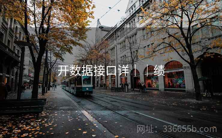 开数据接口详｜｜绩