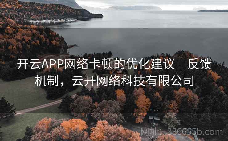 开云APP网络卡顿的优化建议｜反馈机制，云开网络科技有限公司