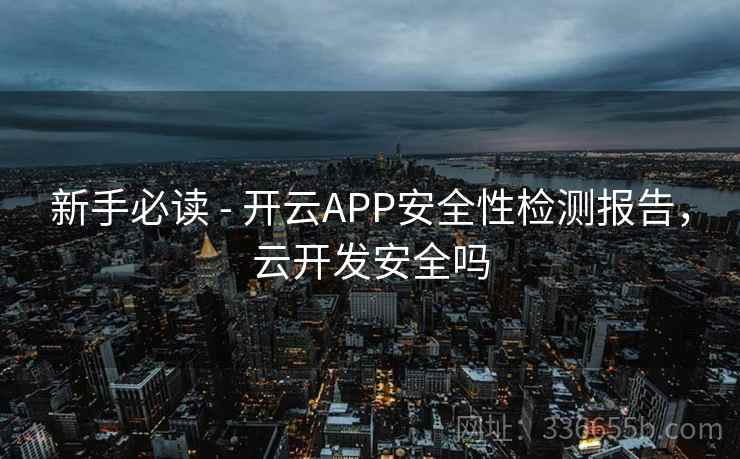 新手必读 - 开云APP安全性检测报告，云开发安全吗  第2张