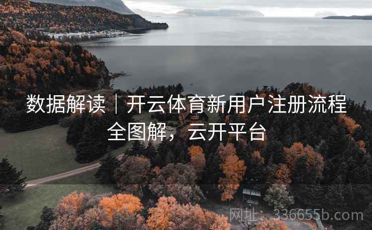 数据解读｜开云体育新用户注册流程全图解，云开平台  第1张